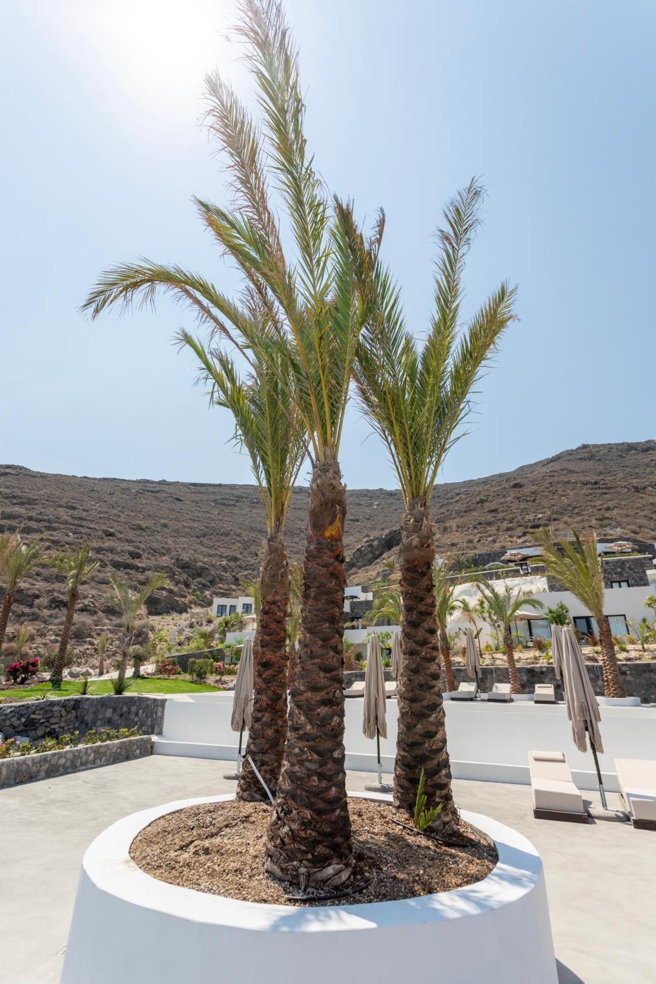 Palm Island Suites Imerovigli  Zewnętrze zdjęcie